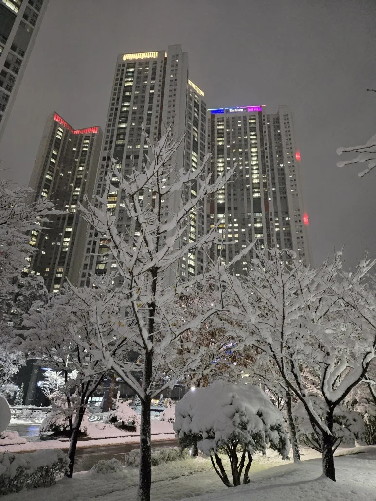 KakaoTalk_20241127_231223144_09.jpg?type=w773