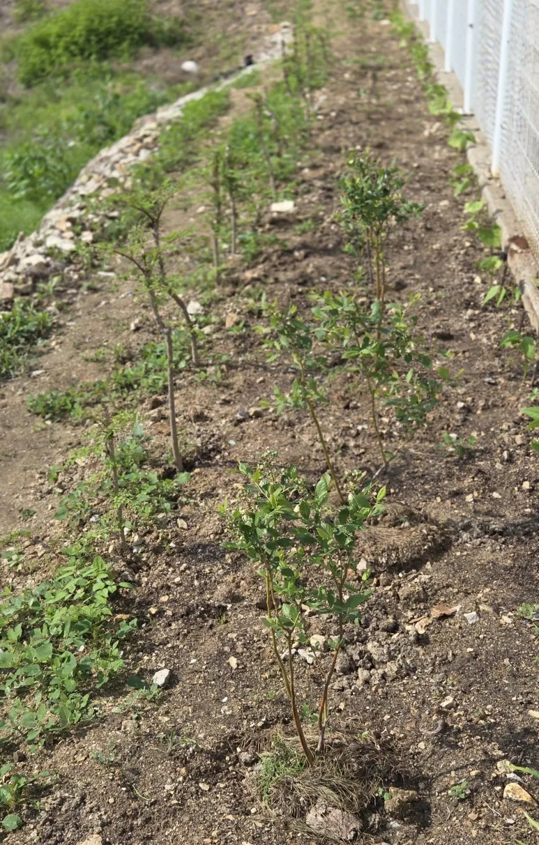 KakaoTalk_20250511_212312837_03.jpg?type=w773