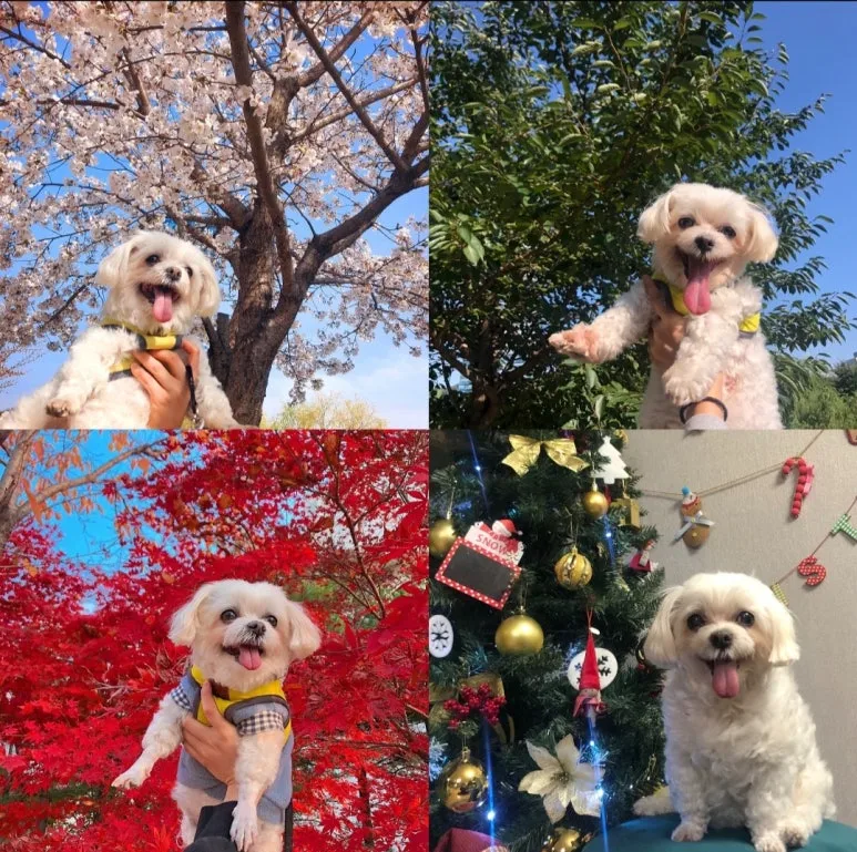 KakaoTalk_20251220_093620289_01.jpg?type=w773