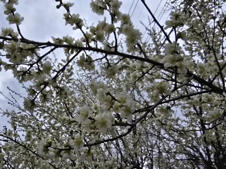 KakaoTalk_20250318_103705379_18.jpg?type=w773