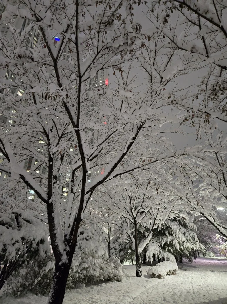 KakaoTalk_20241127_231223144_10.jpg?type=w773