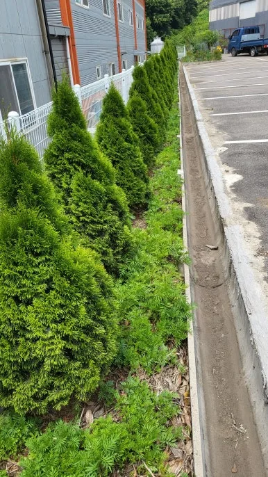 KakaoTalk_20240609_165820824_07.jpg?type=w386