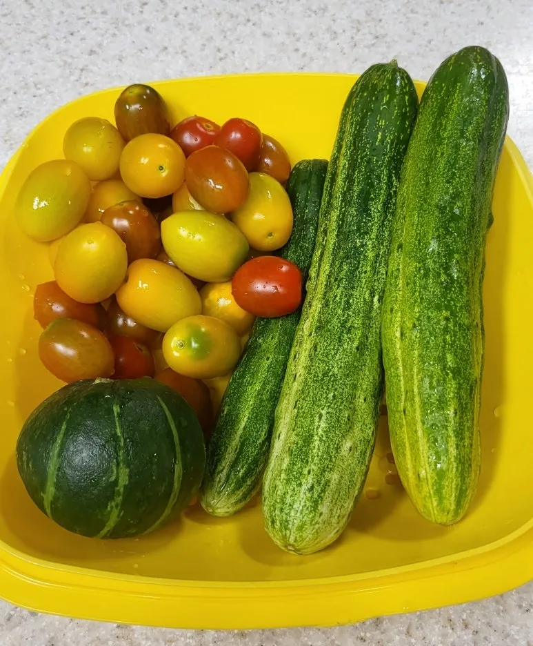 SE-a01bec9a-4949-4539-9937-201caa6813ef.jpg?type=w773