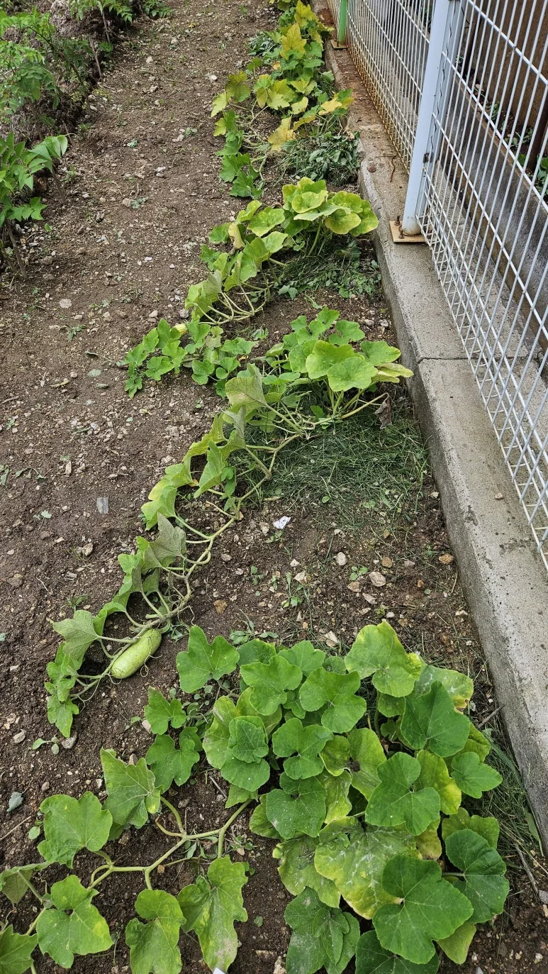 KakaoTalk_20240630_140727185_12.jpg?type=w773