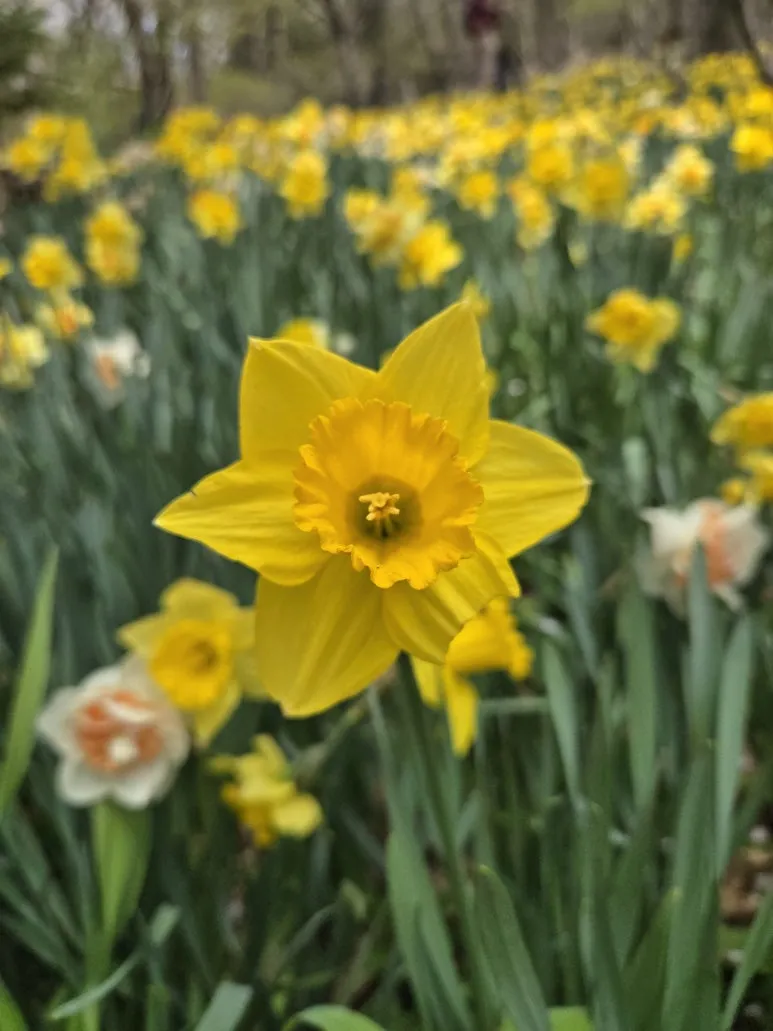 KakaoTalk_20250423_090648360_02.jpg?type=w773