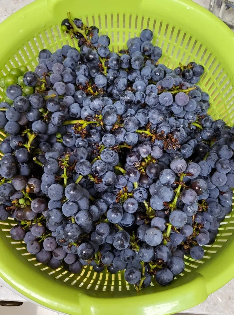 KakaoTalk_20240824_181858514_01.jpg?type=w773