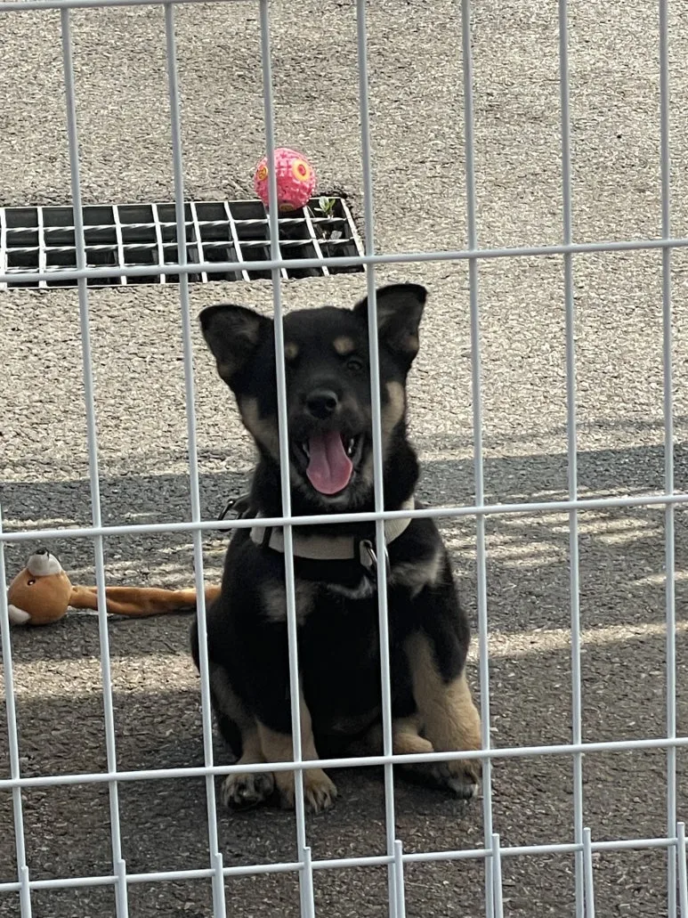 KakaoTalk_20240605_173054515_01.jpg?type=w773