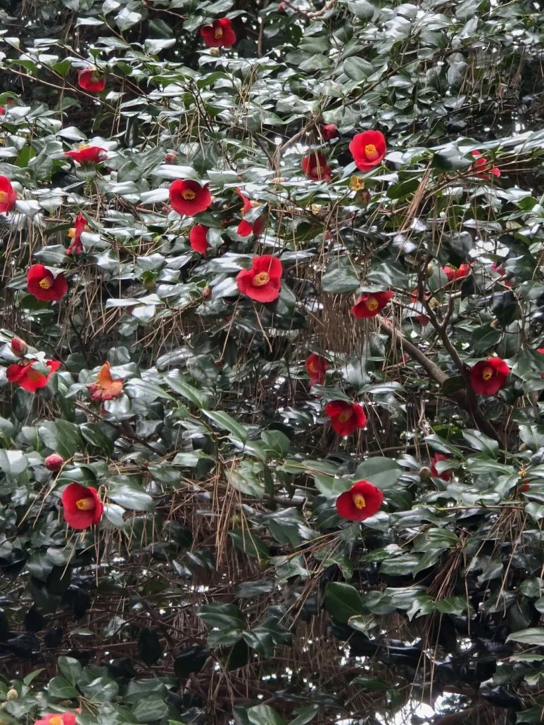 KakaoTalk_20250318_103705379_15.jpg?type=w773