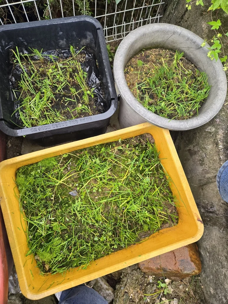 KakaoTalk_20241010_210747052_02.jpg?type=w773