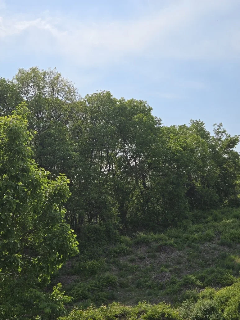 KakaoTalk_20250511_212312837_04.jpg?type=w773