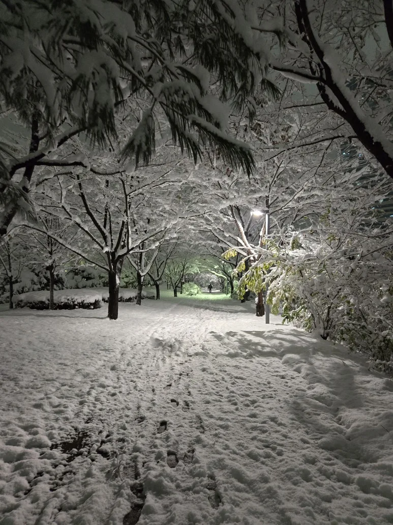 KakaoTalk_20241127_231223144_26.jpg?type=w773