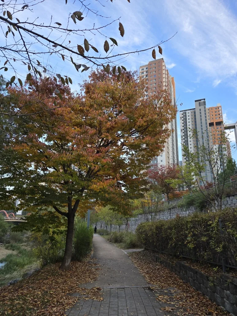 KakaoTalk_20241104_210651506_16.jpg?type=w773