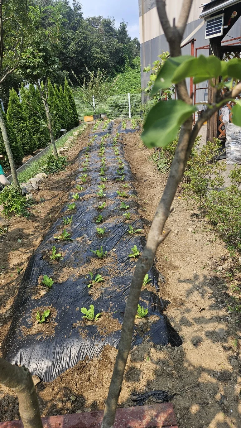 KakaoTalk_20250831_200757766_05.jpg?type=w773