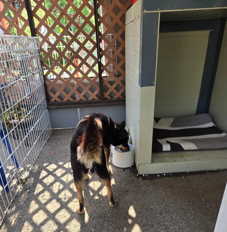 SE-f61d8574-735c-4066-8225-eb1f8c955004.jpg?type=w773