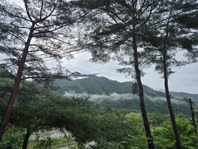 KakaoTalk_20250720_171445359_03.jpg?type=w773