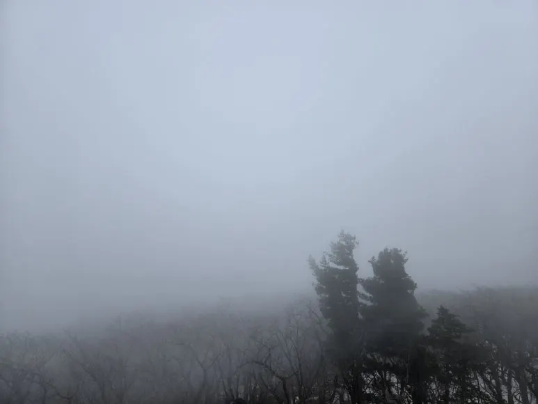 KakaoTalk_20250303_120338172_02.jpg?type=w773