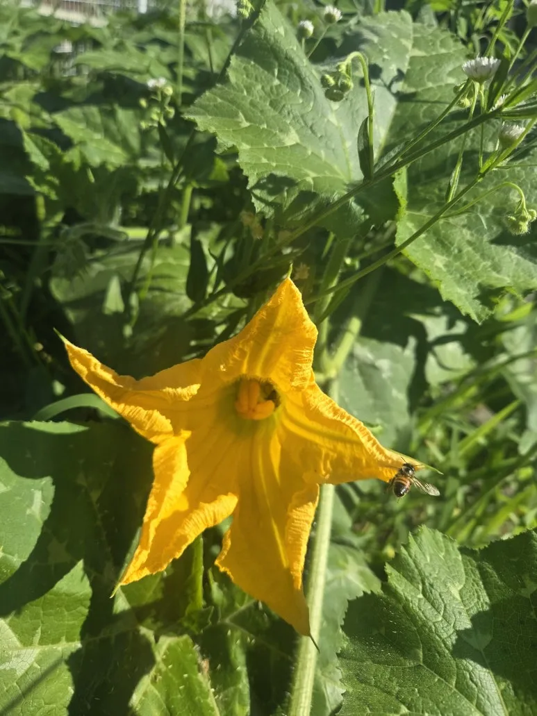 KakaoTalk_20250727_173346412_13.jpg?type=w773