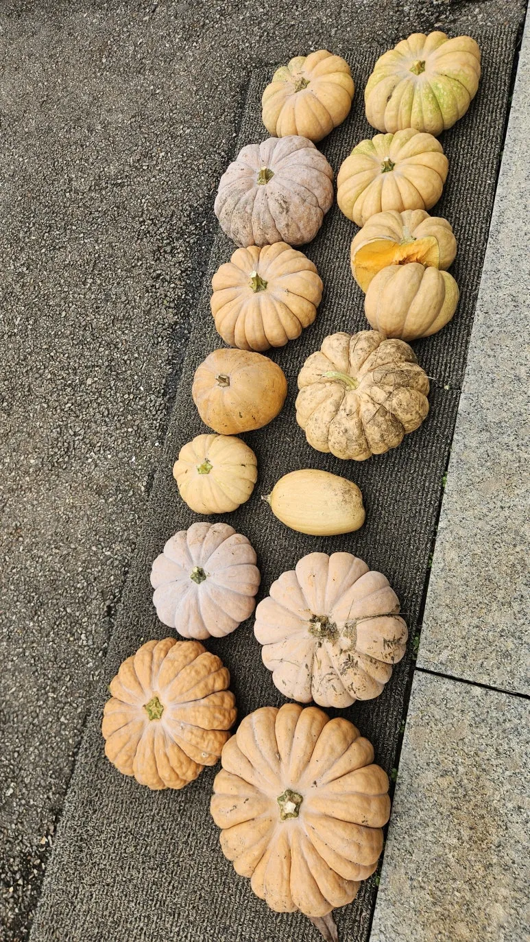 KakaoTalk_20250921_132047203_02.jpg?type=w773