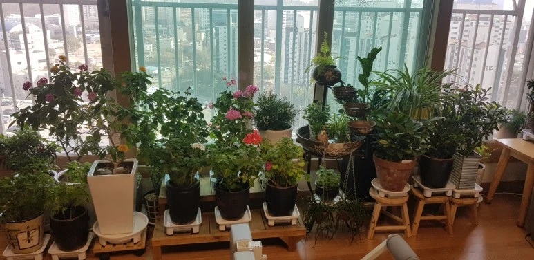 KakaoTalk_20231214_165707383.jpg?type=w773