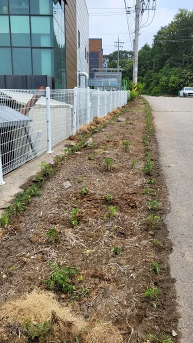 KakaoTalk_20240609_165820824_08.jpg?type=w386