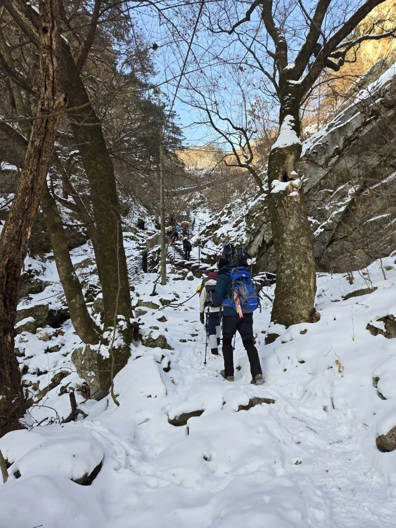 KakaoTalk_20250203_120903483_20.jpg?type=w773