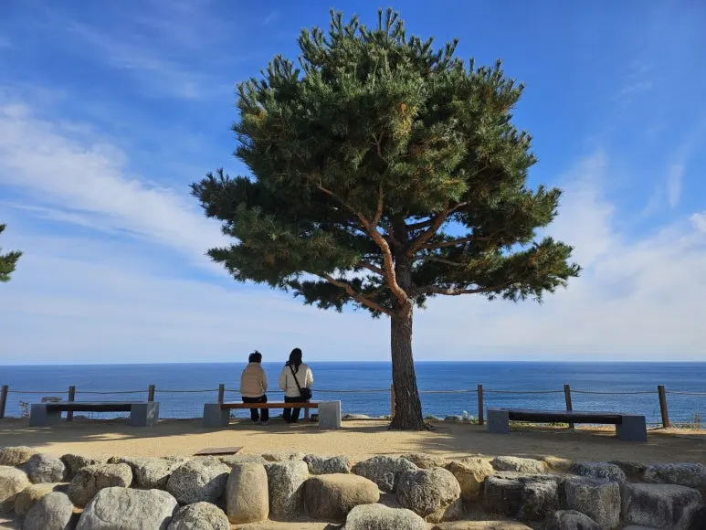 KakaoTalk_20241119_211309052_02.jpg?type=w773