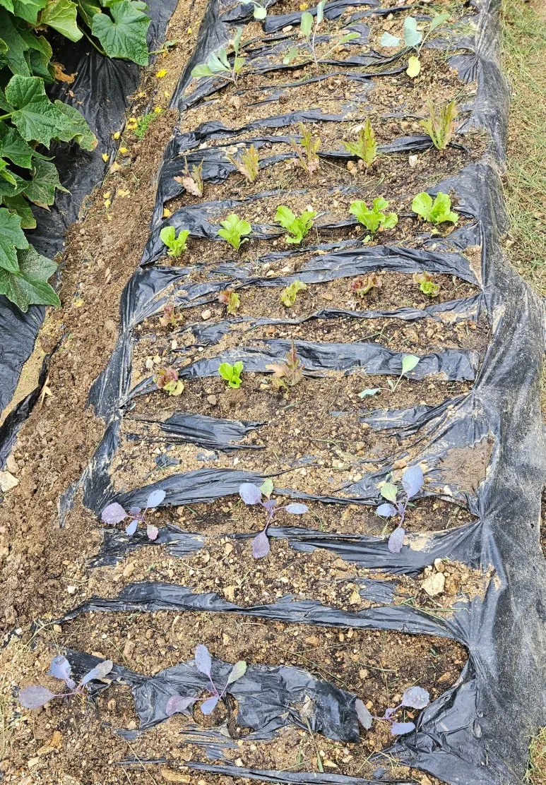 SE-90cac05f-00f4-4c9e-9bcc-08ef322f57c6.jpg?type=w773