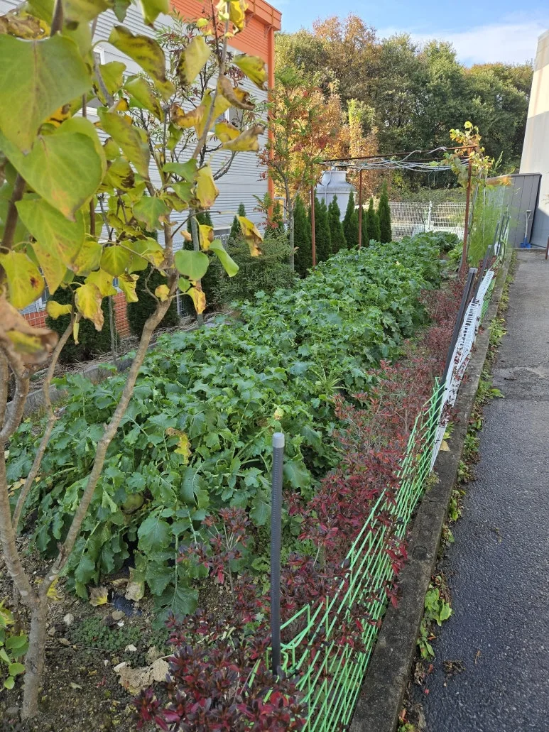 KakaoTalk_20241121_173517850_05.jpg?type=w773