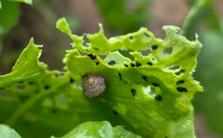 KakaoTalk_20251019_172038589.jpg?type=w773