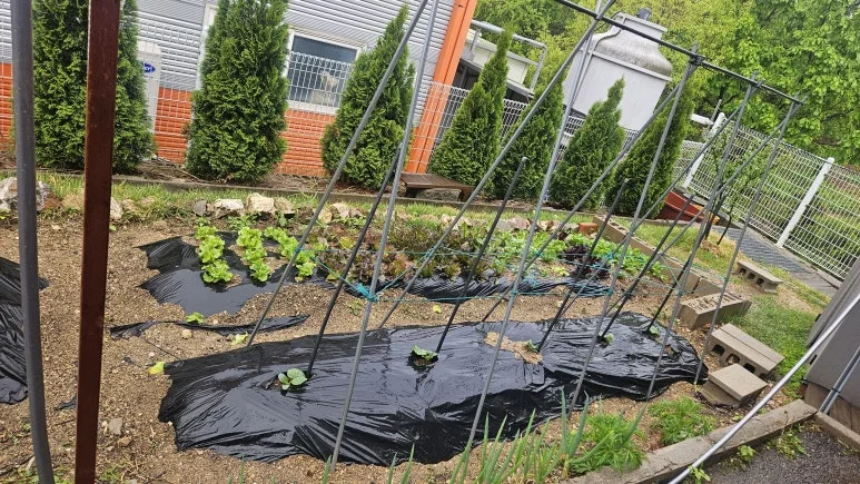 KakaoTalk_20250503_112747067.jpg?type=w773