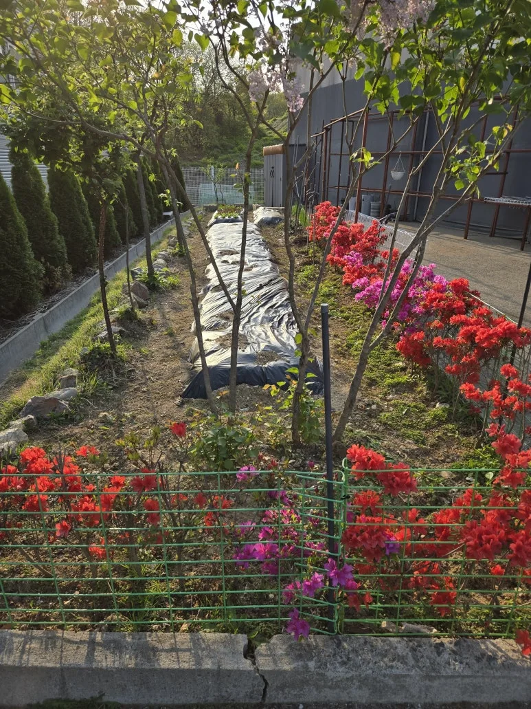 KakaoTalk_20250427_123712835_18.jpg?type=w773