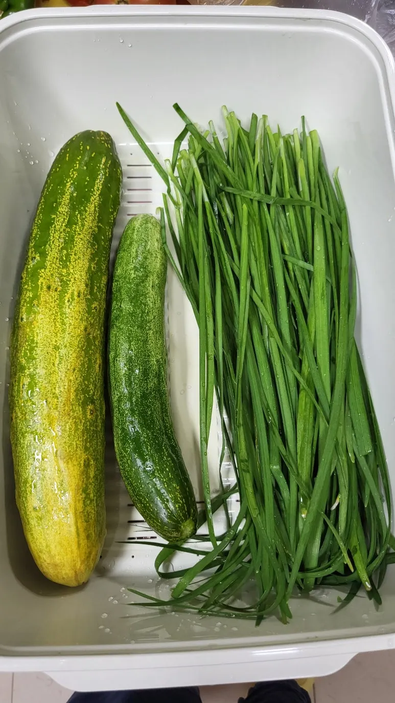 KakaoTalk_20240707_201159343.jpg?type=w773