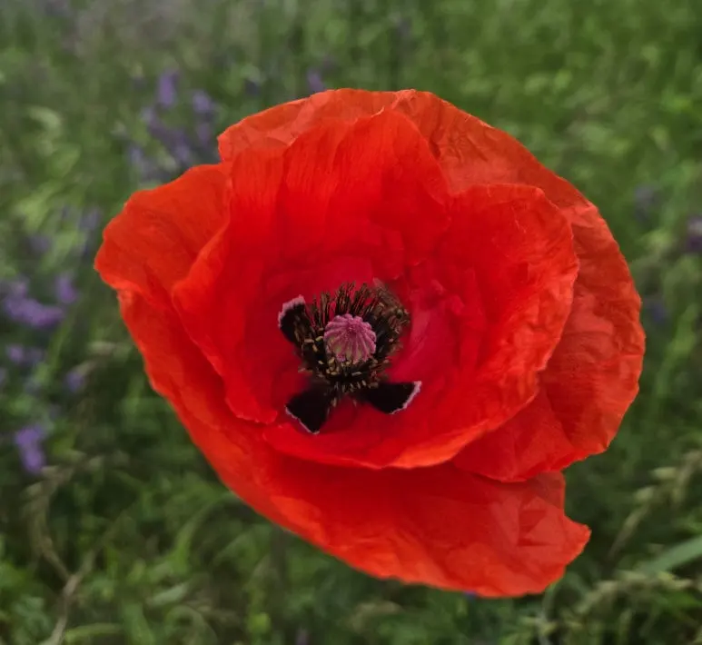 SE-68c48c25-7e33-4f7d-bfdb-5437f806e12f.jpg?type=w773