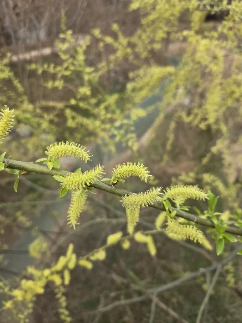 KakaoTalk_20250327_204226448_02.jpg?type=w773