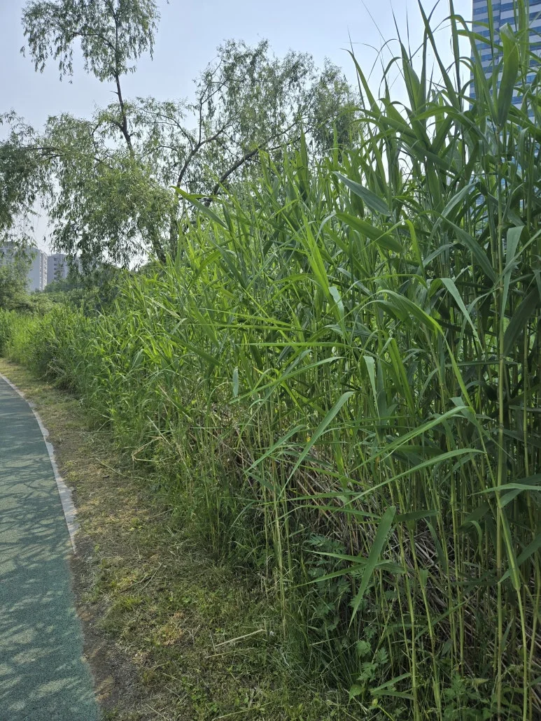 KakaoTalk_20250529_140215492_04.jpg?type=w773