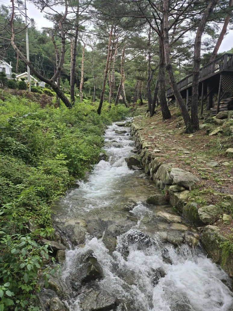 KakaoTalk_20250720_171445359_07.jpg?type=w773