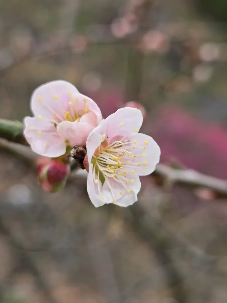 KakaoTalk_20250318_103705379_20.jpg?type=w773