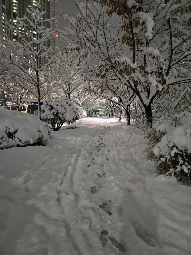 KakaoTalk_20241127_231223144_08.jpg?type=w773