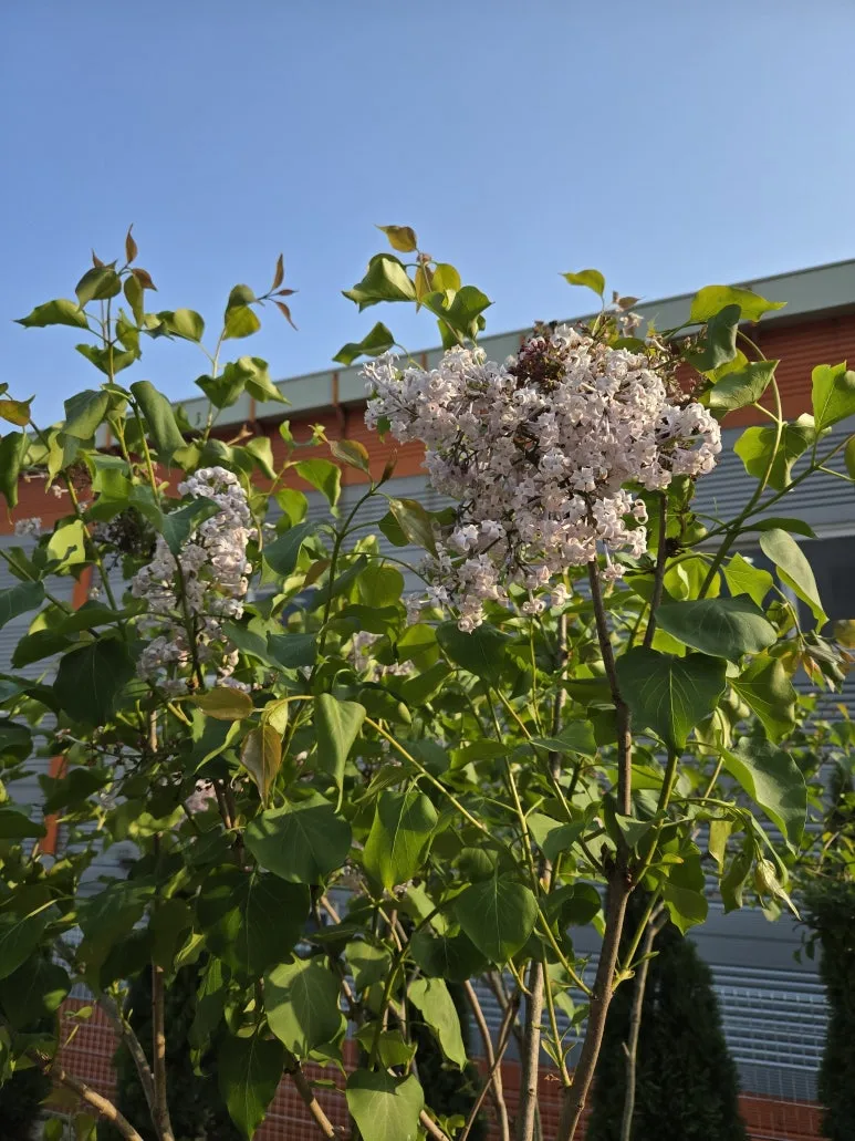 KakaoTalk_20250427_123712835_20.jpg?type=w773