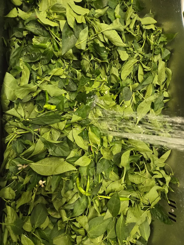 KakaoTalk_20250831_200757766_02.jpg?type=w773