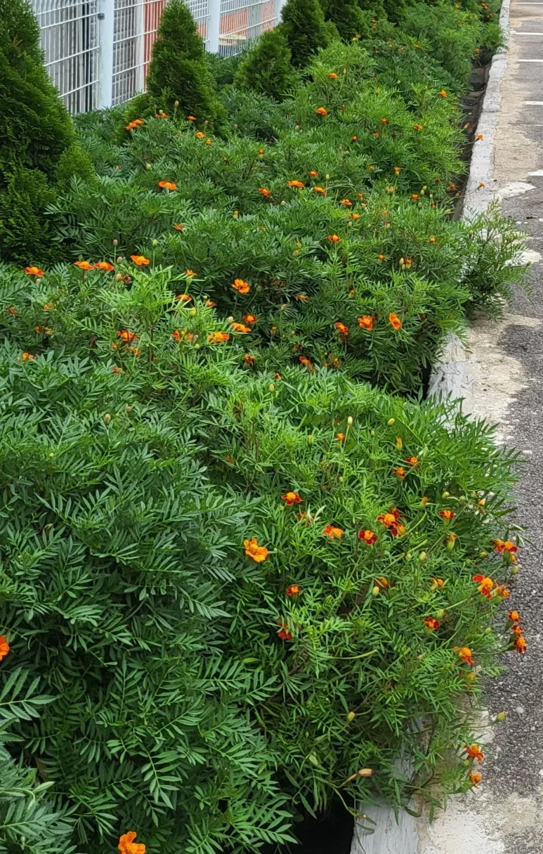 SE-fd4e8ad6-db7f-4b26-9709-db3491a1d9ce.jpg?type=w773