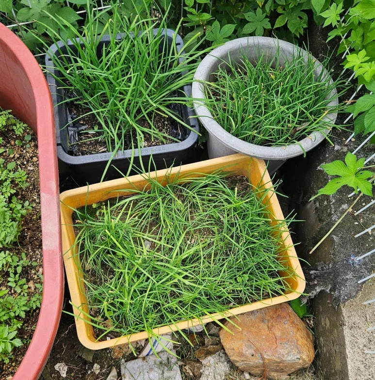 SE-1a6c8959-aef8-4157-a4d6-eac52b76c1ec.jpg?type=w773