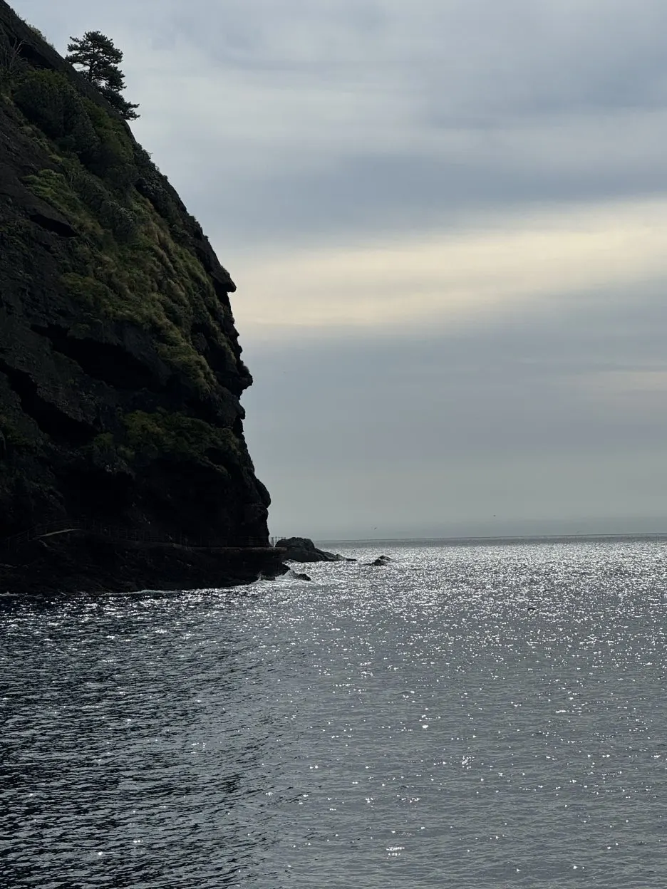 KakaoTalk_20250705_231749311_01.jpg?type=w1