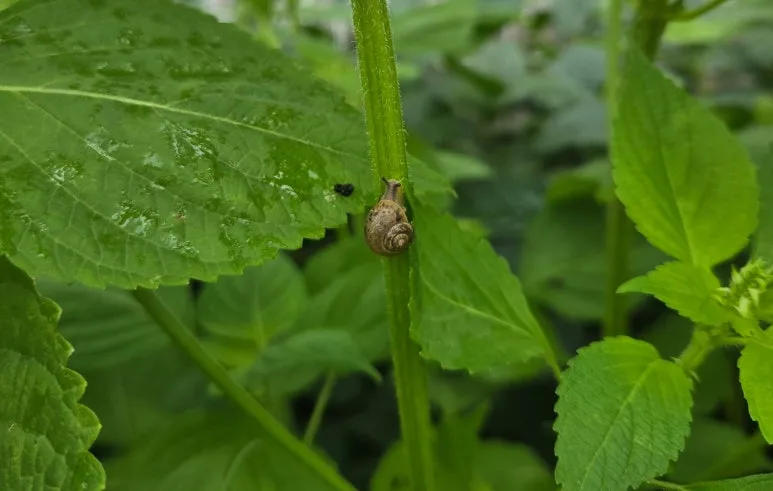 SE-2e5db229-2e6a-4fc5-9918-430d2f5bf5a0.jpg?type=w773