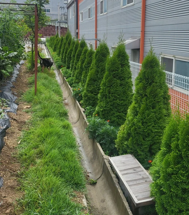 SE-eb630572-034d-48fc-a774-4af7827a7ed5.jpg?type=w773