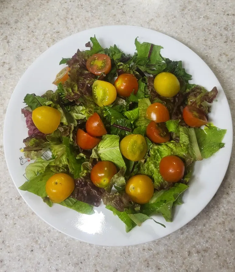 SE-6b521720-252e-4ed6-8af2-a0bef9e299cf.jpg?type=w773