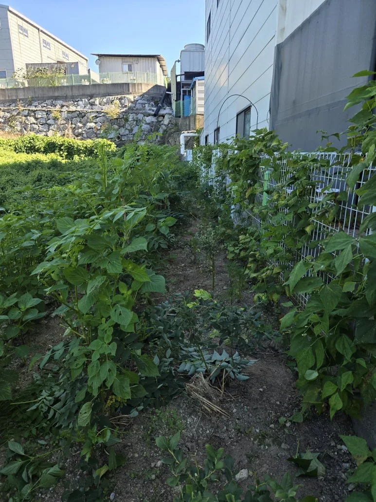 KakaoTalk_20250727_173346412_06.jpg?type=w773