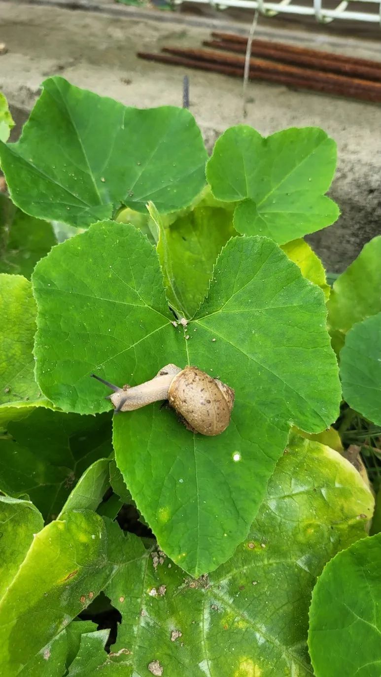 KakaoTalk_20240630_140810350.jpg?type=w773