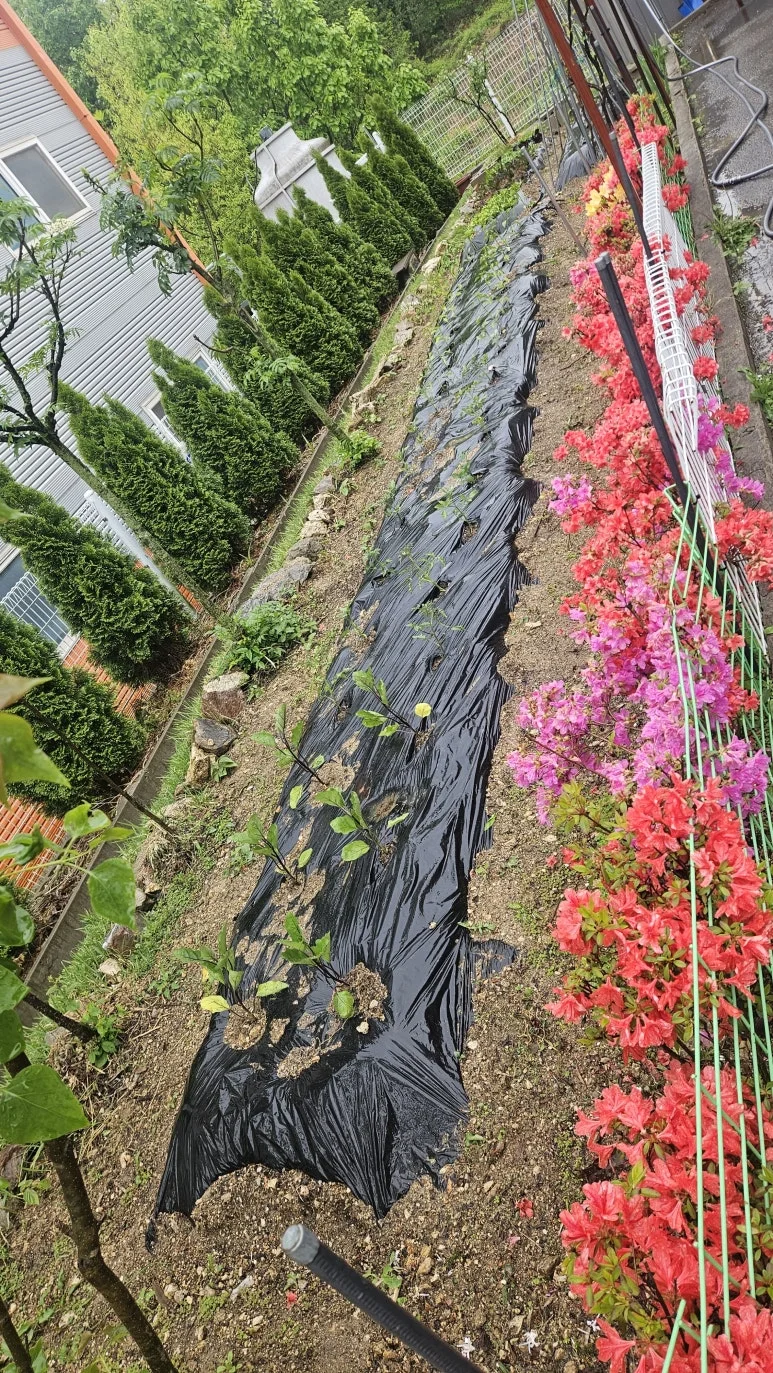 KakaoTalk_20250503_112747067_01.jpg?type=w773