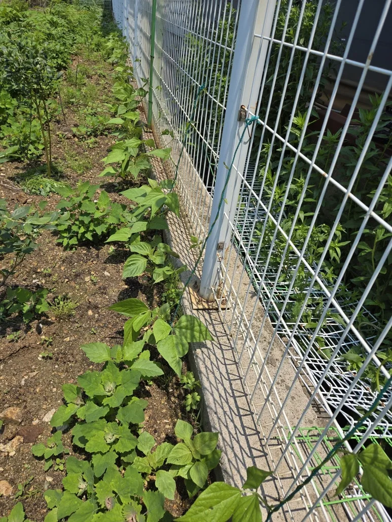 KakaoTalk_20250526_215558562_08.jpg?type=w773